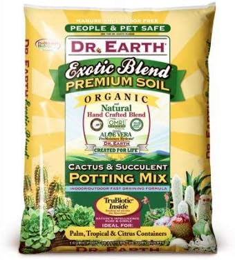 Cactus Potting Mix 8QT