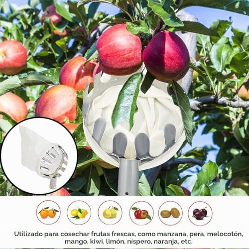 Miniatura 4 de Heyidamai Recogedor De Fruta, Recogedor De Manzanas, Ayuda Para La Recolección 4m, Recogedor De Frutas Fácil De Montar, Recogedor De Cerezas Con Ligera Extensión De Acero Inoxidable, Barra De Conexión