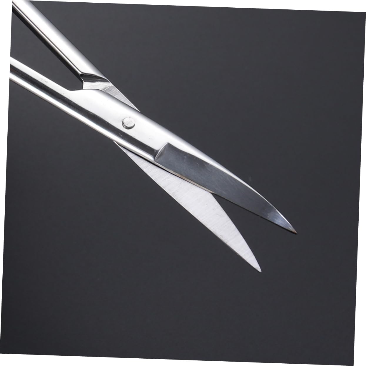 Travel-sized Stainless Steel Eyebrow Scissors Makeup Scissors for Eyelid Tape Easy to Close for Precision Cutting