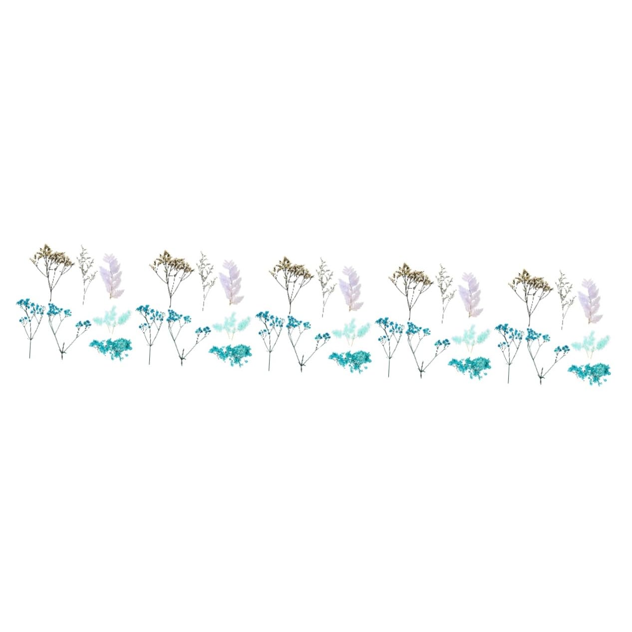 Alipis 5 Set Pacchetto di Materiale per Fiori secchi Arredamento Ortensia Fiori secchi pressati Floreale peonie goffratura Decora Fiori pressati di San Fai da Te Blue