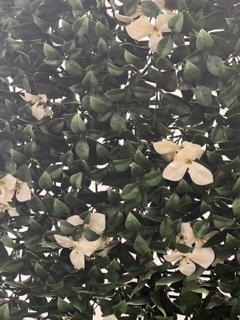 Purchase Green Artificial Ivy - Gardenia White