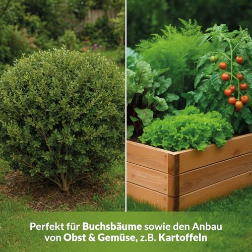 TerraDomi 10kg natürlicher Algenkalk für 250m² I 100% echter Algenkalk zur Stärkung der Widerstandsfähigkeit von Buchsbäumen und anderen Pflanzen I Beugt Befall von Buchsbäumzünsler und Pilzen vor