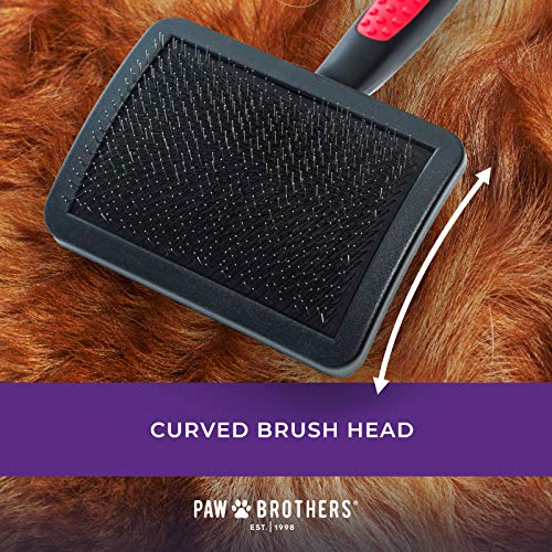 Ryan's Pet Supplies Paw Brothers Hard Pin Curved Slicker Brush For Dogs, Large, 4.5 In #TOP4