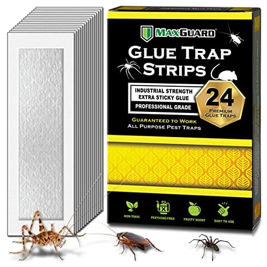 MaxGuard Tiras de armadilha de cola (24 armadilhas) placa de cola extra pegajosa não tóxica pré-isca com aroma frutado atrativo armadilha e mata insetos, insetos, aranhas, grilos, escorpiões, baratas,