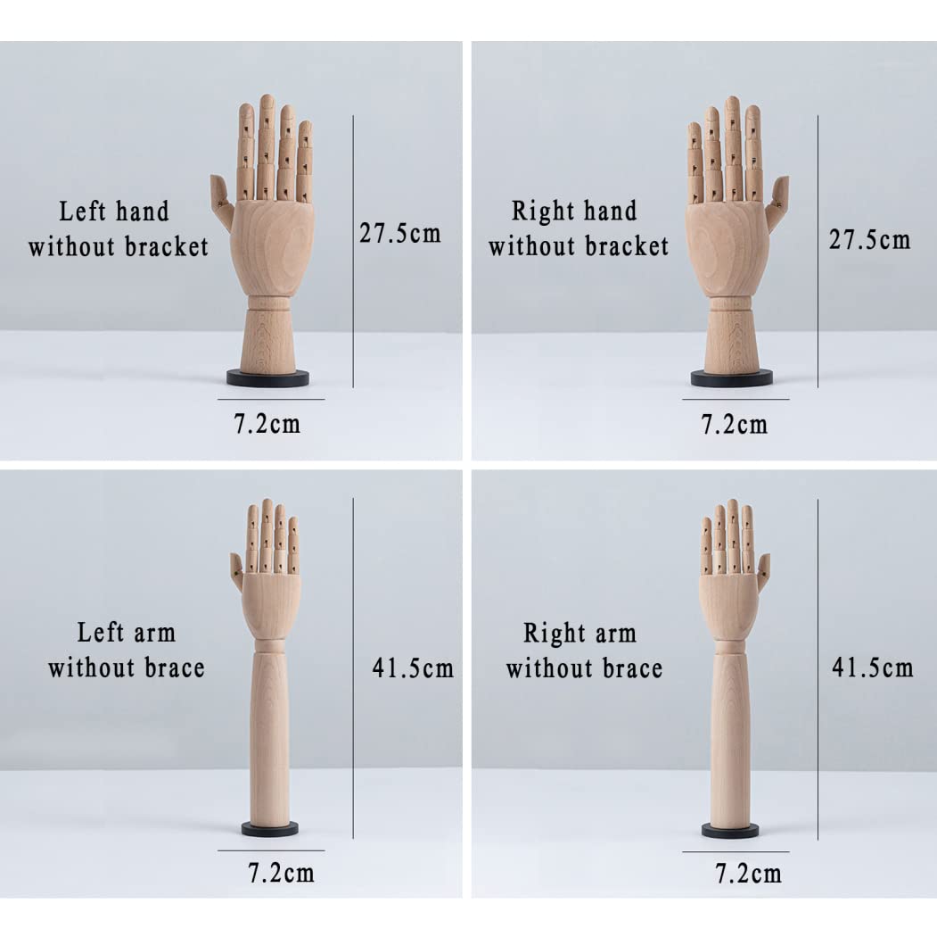 Mano Modello Anatomico Mano Snodata In Legno Per Artisti - Modello  Flessibile Destra/Sinistra | 7 Pollici | Ideale Per Disegno E Belle Arti  Manichino Uomo, image size:1051x1050