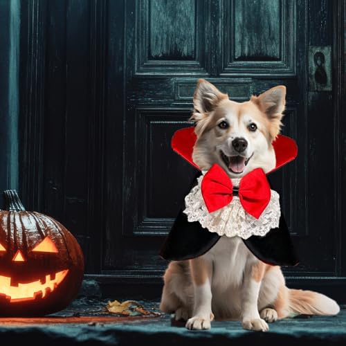 Disfraz de Vampiro para Perros y Gatos, Talla L miniatura 5