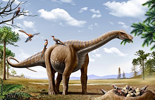 Posterazzi A Rapetosaurus is feeding from conifers leaf