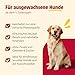 animonda GranCarno Hunde Nassfutter Single Protein Ross pur (6 x 400g), getreidefreies Hundenassfutter ohne Zucker, für ausgewachsene Hunde, mit frischem Pferdefleisch und Innereien