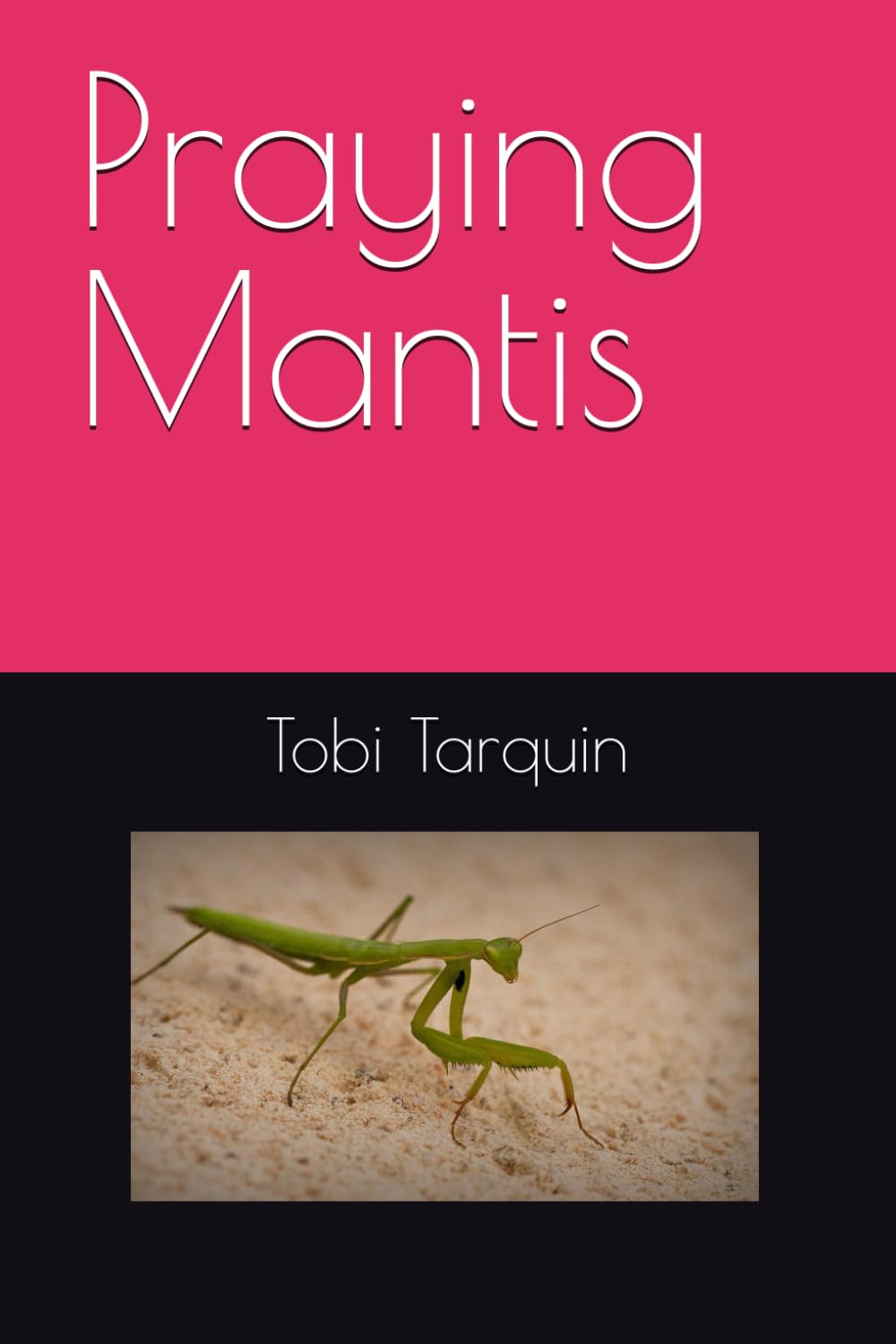 Praying Mantis