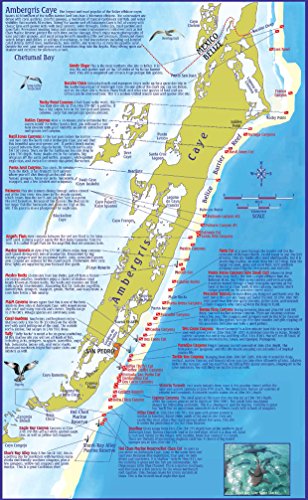 Central America Diving Belize Costa Rica Bay Islands Of Honduras (Franko Maps Electronic Fish Id Cards) #TOP5