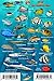 Fiji Reef Creatures Guide Franko Maps Laminated Fish Card 4