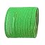 Parrot Green
