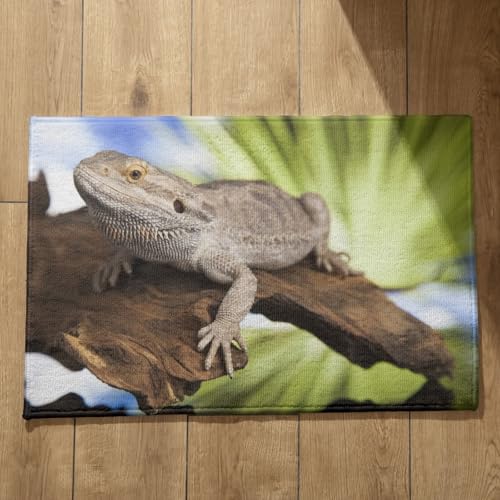 Isdreem Alfombra Salon Grande Pelo Corto Felpudo Rectangular Lagarto Alfombra Felpudo Interior Felpudo Baño Alfombrillas Decorativas Antideslizantes, 50x80cm