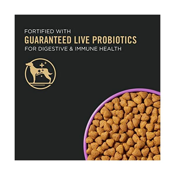 Pro Plan Dry Dog Food, Sport 27/17, Chicken and Rice 17kg Bag Pro Plan Dry Dog Food, Sport 27/17, Chicken and Rice 17kg Bag