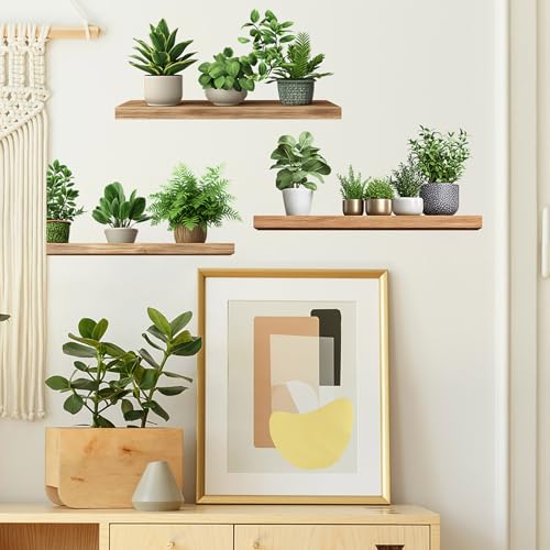 Image of Green Plants Wall Stickers 3D Bonsai Tropical Betterfly Creative Vinyl Peel and Stick Removable Wall Art for Living Room Bedroom Home Office (Green Plant 6)
