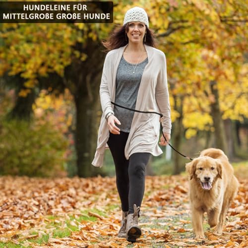 Hundeleine für Mittelgroße & Große Hunde, Multifunktionsleine Führleine für Hunde 2.1m Verstellbare mit 2 Karabiner, Robuste Nylon Dog Leash, Schleppleine Doppelleine für 2hunde (Schwarz, 1cm x 2.1m)