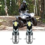 ZNEOEW P15D H6 H6M LED Headlight Bulbs Fit For Yamaha Grizzly 660: 2002-2008, H6 ATVS UTV Light Bulbs, 500% Brightnes Bulbs 6000K White H6M Light Bulbs, Plug and Play,IP68, 2-Pack