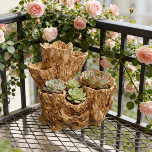 Pot de fleurs imitation bois flotté à 6 compartiments pour cactus