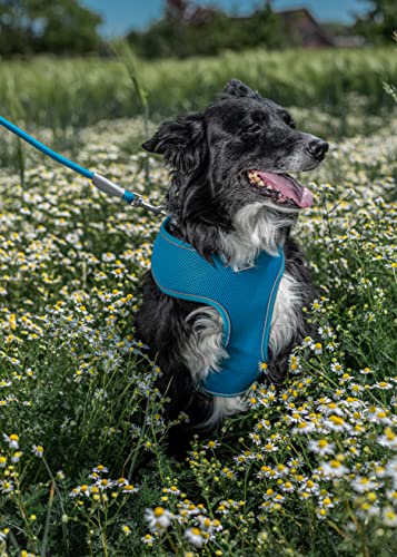 Ancol Viva Reflective Rope and Leather Snap Dog Lead - Blue - Durable Weatherproof Poly Weave Puppy Walking Accessory - 1.07m x 10mm - Image 3