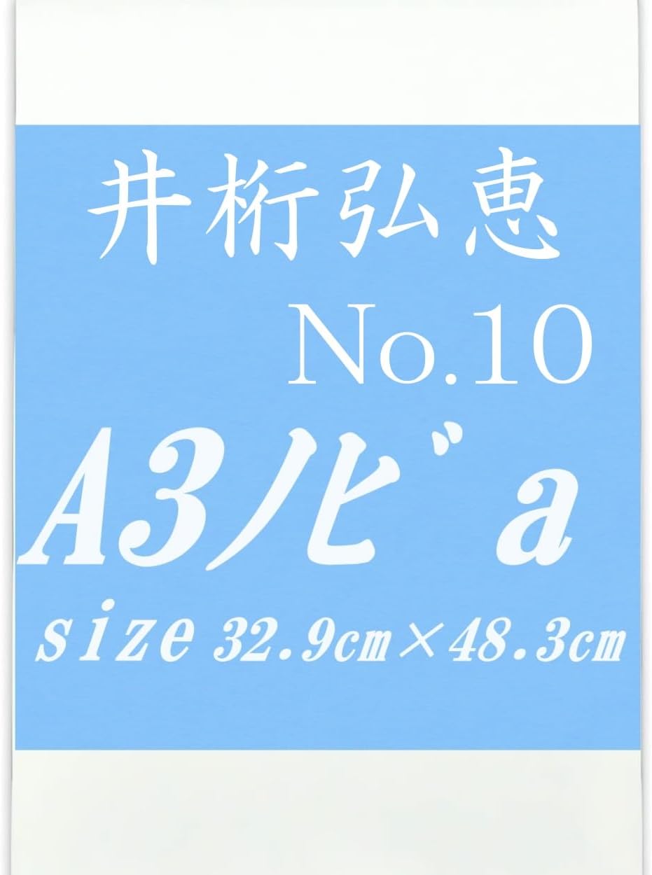 井桁弘恵 A3ノビ-No.10 a
