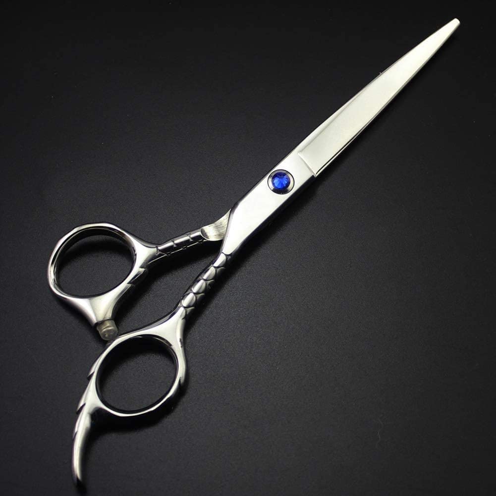 Ciseaux à effiler pour la coupe de cheveux avec lames en acier inoxydable