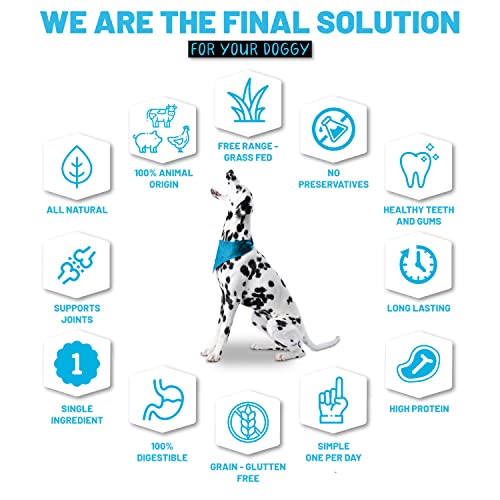 Sitka Farms Bundle With Beef Cheek Chips Gullet Dusted (10 Count) + Crunchy Beef Sticks 5" (50 Count) Special Chews For Aggressive Chewers #TOP2