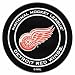 FANMATS NHL Detroit Red Wings Nylon Face Hockey Puck Rug