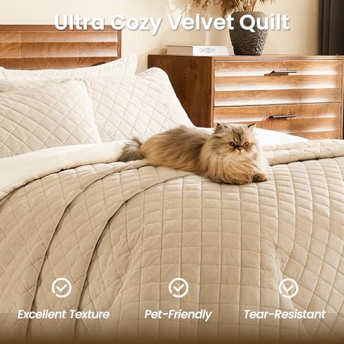 L'AGRATY Velvet Quilt King Size: 3-Piece Reversible Luxury Velvet Bedding Comforter Set - Lightweight Oversized Quilted Bedspread Coverlet with 2 Pillow Sham for All Season - Light Taupe Quilt