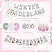 Winter Onederland 1st Birthday Decorations for Girl Pink Snowflake Photo Banner Silver Winter Onederland Balloons for Winer Wonderelond First Birthday Party Supplies