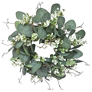 Pistro Eukalyptus-Frühlingskranz 40,6 cm