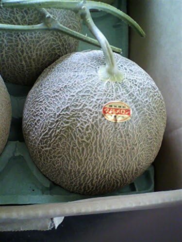 Amazon 北海道産夕張メロン 個撰 1玉 1 3kg前後 佐藤魚菜店 メロン 通販