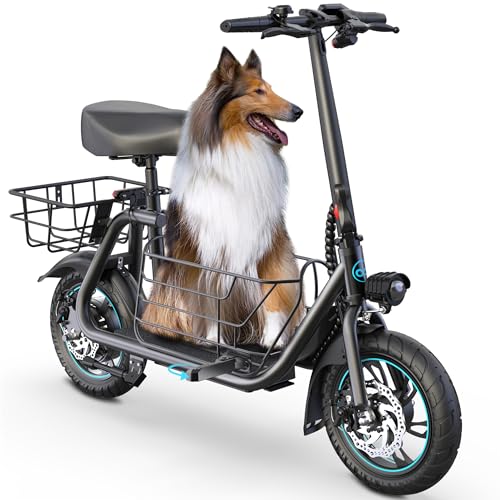 URBANMAX C1S Electric Scooter with Seat