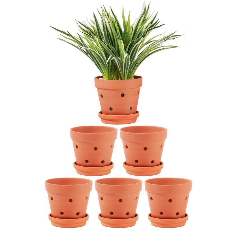 Yishang 5.5 Inch Clay Orchid Pots with Drainage Holes & Saucers - 6 Pack Small Terracotta Planter Pots for Repotting, Plant Flower Pots for Orchid Indoor & Outdoor, Promotes Air Circulation