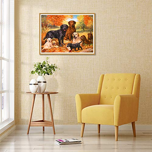 Reofrey 5d Hond Diamond Painting Volwassenen Beginners Kits, DierenDiamant Schilderij Kits Kristal Strass Borduurwerk… - Image 5