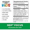 BIORAY Kids NDF Focus, Citrus - 2 fl oz - Supports Cognitive Function, Enhances Clarity & Promotes Steady Energy Levels - Non-GMO, Vegetarian, Gluten Free - 1-2 Month Supply