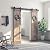 SMARTSTANDARD 7 FT Double Barn Door Hardware Kit, Sliding Door Track-Smoothly and Quietly -includes Detailed Installation Fit 21" Wide Doorpanel (J Shape Hanger) Black