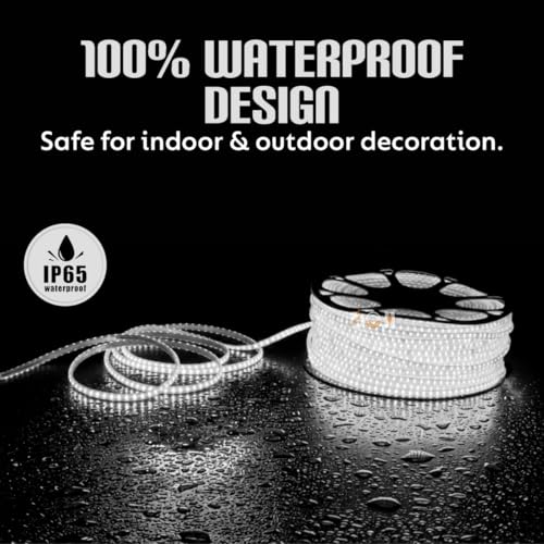 Image of DOJI 2835 Strip Lights for Home Decoration | 120 led per Meter led Strip Light | Rope Lights for Ceiling | Decoration Lights for Diwali, Christmas, Home, False Ceiling (White, 3 Meter)