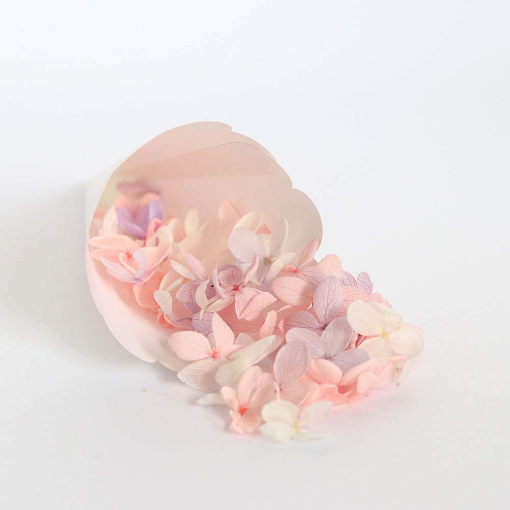50 PZ Coni Portariso Matrimonio, Bianco Svuotare Cuore Coni Riso, Coni Portaconfetti Confettata, Bomboniere segnaposto per Matrimonio, Natale, Compleanno, Comunione, Battesimo Bambina, Baby Shower