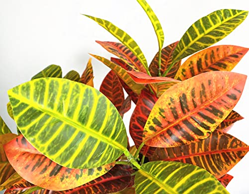 Magrowie Artificial Croton Plant Leaf Branches Lifelike Tropical Houseplant Bush Stems For Home Office Decoration (Orange - Pack Of 4) #TOP3