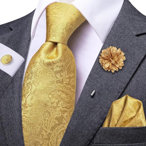 Image of Dubulle Mens Tie and Lapel Pin Paisley Striped Floral Necktie for Men Pocket Square Cufflinks 4PCS Set Wedding Party
