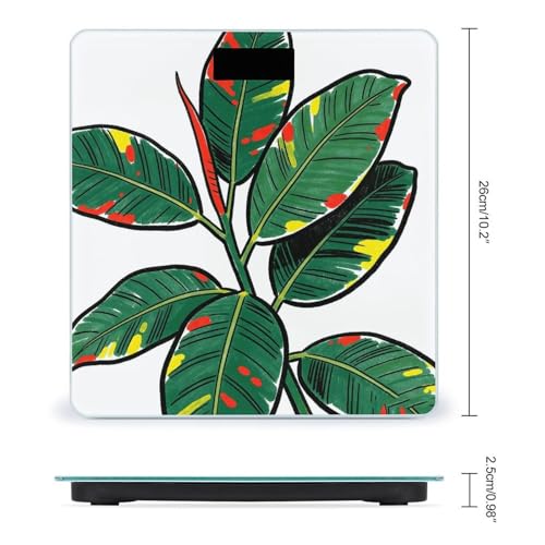 Báscula digital de baño Tropical Leaf con pantalla LCD miniatura 2