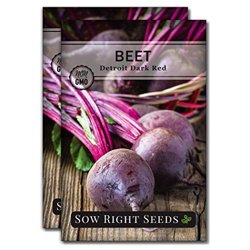 Sow Right Seeds - Detroit Dark Red Beet Seeds for Planting - Non-GMO Heirloom Packet with Instructions to Plant & Grow an Outdoor Home Vegetable Garden - Nutritious, Cold Hardy, and Productive (2)