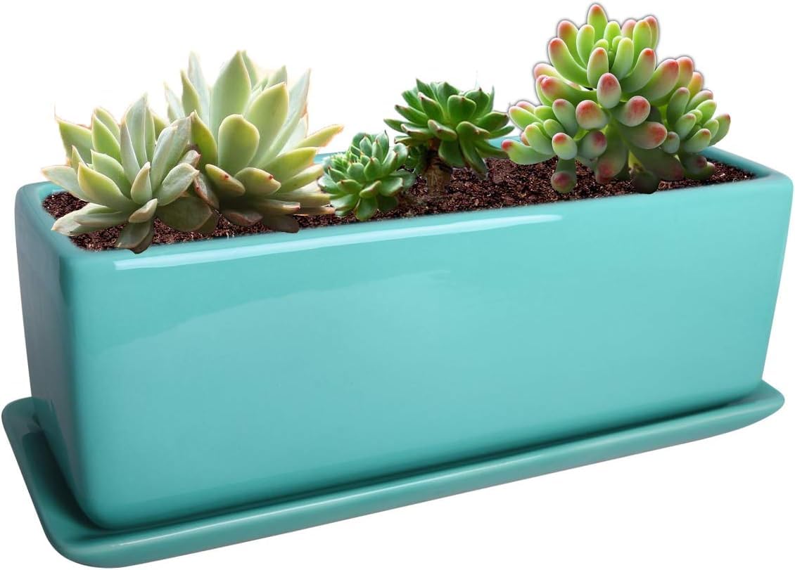Vencer Ceramic Succulent Planter