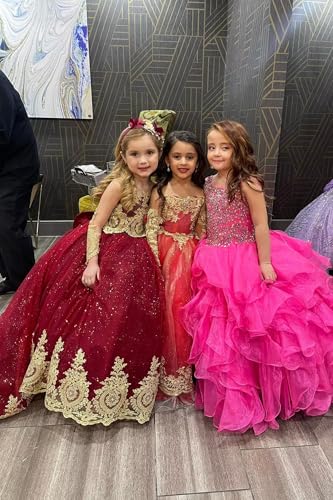 Gold Lace Flower Girl Dresses for Wedding Applique Tulle Elegant Long Princess First Communion Dresses2