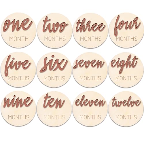 Baby Monthly Milestone? Baby Monthly Milestone Card Sign?6 Pack 3D Pink Monthly Milestone Wooden Makers disc for Baby Girl or boy? Baby Announcement Sign