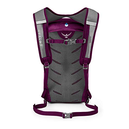 Image of Osprey Daylite Everyday Backpack, Black