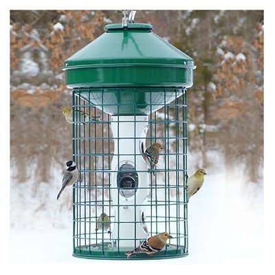 Woodlink Naav1Mnp Caged Seed Feeder, 1 Count