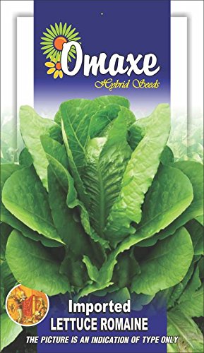 Omaxe Seeds Lettuce Romaine (B07FF2623F) Amazon Price History, Amazon Price Tracker