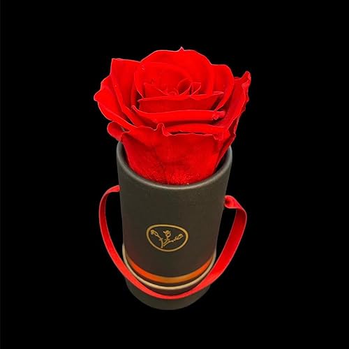 Miniatura 4 de A ARAGÓN Rosas preservadas auténticas 100% naturales, flores colombianas preservadas hechas a mano con aroma a rosa natural, perfectas para San