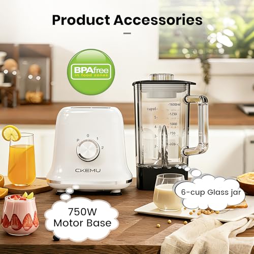 Blender For Kale Smoothies
